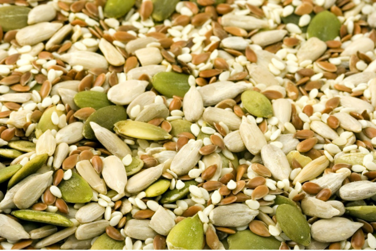 Farinha Nutritiva de Sementes: o poder escondido nos grãos