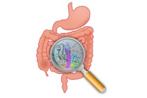 Probióticos: o que são, benefícios e como incluir na rotina