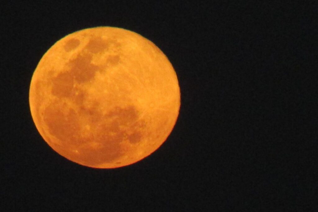 A Lua afeta não só o mar, mas também os seres vivos